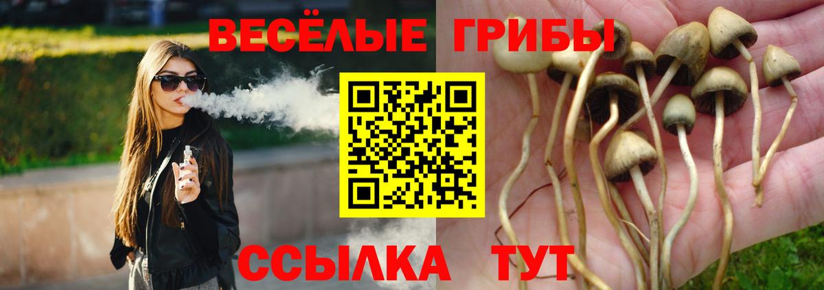 купить закладку  Псилоцибиновые грибы Magic Shrooms  Вход с VPN  Алатырь 
